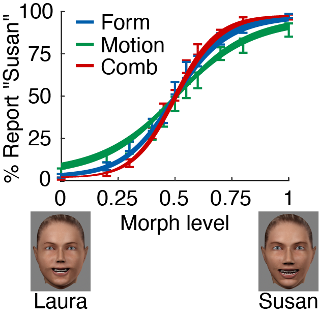 Cue integration of facial form and motion during face recognition can be predicted by an optimal model.