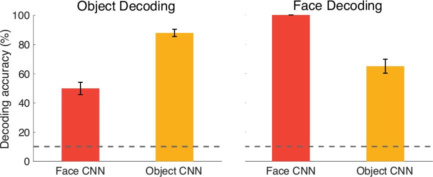 Computational reasons for specialization? CNNs trained on faces perform not as well on objects, and vice versa.